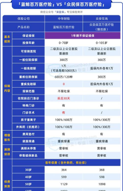 大额医疗保险什么意思