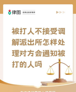 不得调解原则是什么