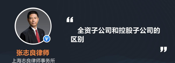全资子公司什么意思