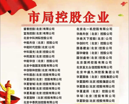 控股公司什么意思