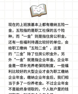企业年金什么意思