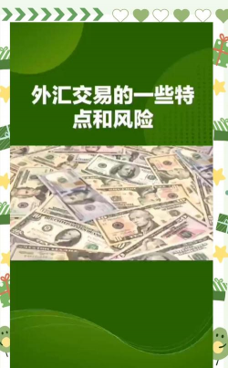 什么是旅游外汇风险