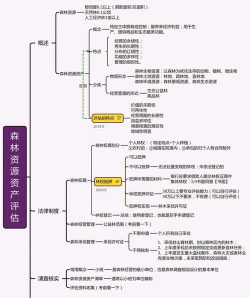 评估师评估资产的市场价值的总体要求是什么