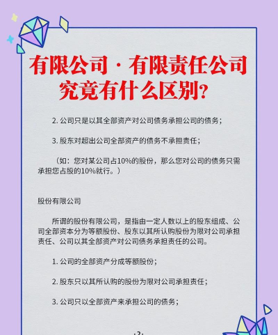其他有限责任公司是什么意思