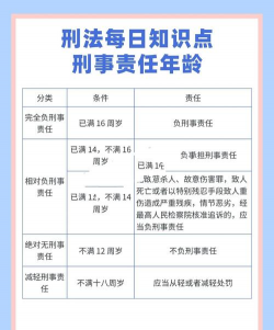 会计初级刑事责任包括