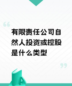 自然人投资或控股是什么企业类型