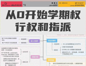 注册会计师期权是什么
