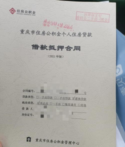 以房地产抵押作担保的证券是什么