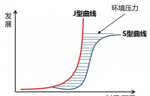 J曲线效应的概述