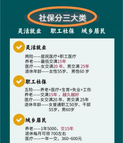 社保指的是什么