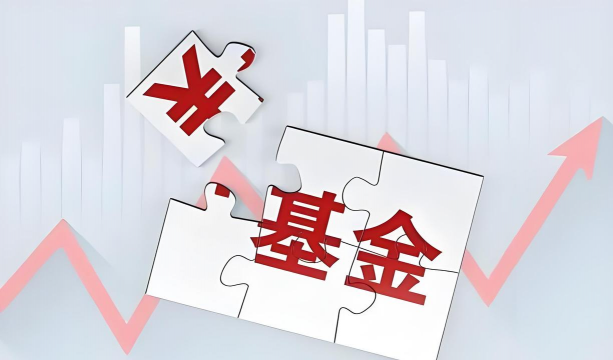 统筹基金是什么