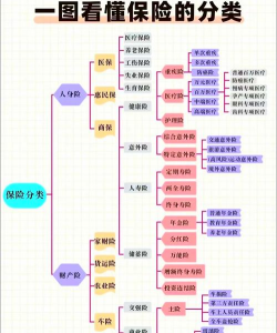 保险分为哪几种类型