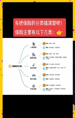 保险分哪几种类型