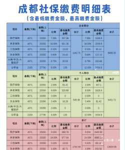 社保月缴费基数是什么
