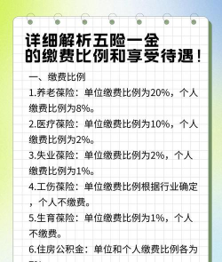 个人缴费基数是什么意思