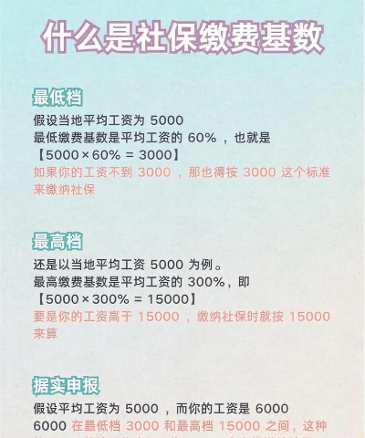 社保缴费基数什么意思