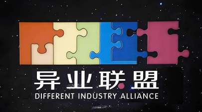 企业联盟的主要表现