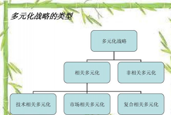 多元化战略的概述