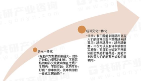 相关多元化的概述