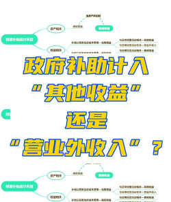 政府补助的定义