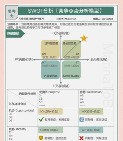 SWOT分析基本原理
