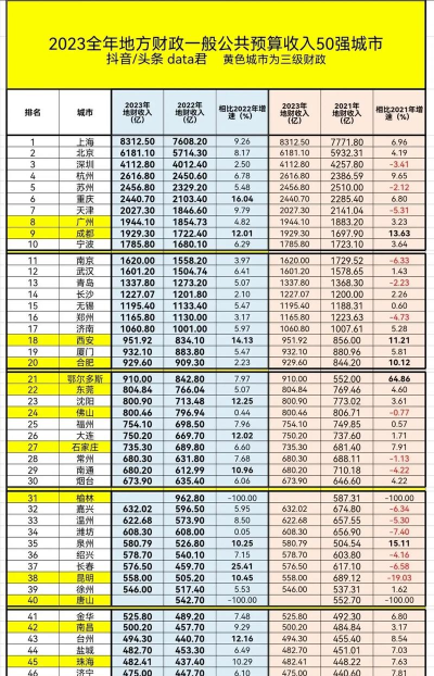 地方一般公共预算收入是什么意思