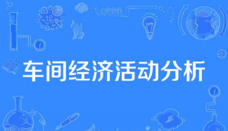 经济活动分析的形式