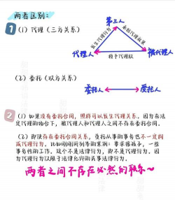 什么是代理问题