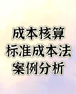 实际成本法是什么