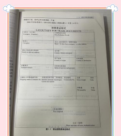 跟单信用证是什么