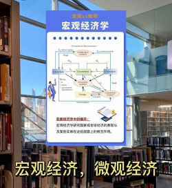微观经济是什么
