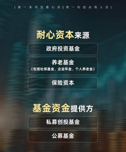 保险资金凸显耐心资本优势