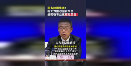 国资委：大力推动央企 战略性专业化重组整合