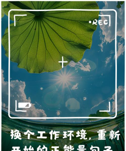 优化以旧换新政策 提升“焕绿”质量成色