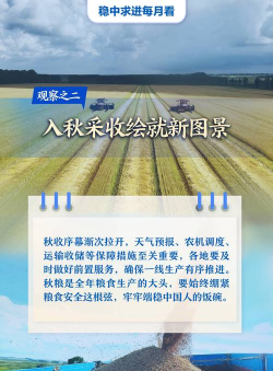 经济运行稳中向好 八月份财政收入继续回暖