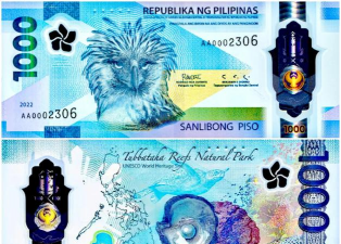 菲律宾或因美国商品零关税协议损失300亿比索