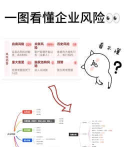 企业自身风险是什么意思