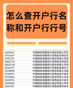 开户行是什么意思