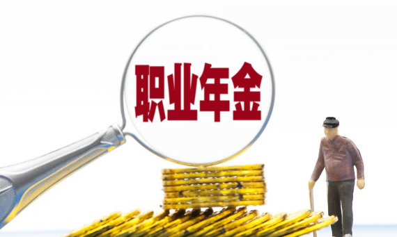 职业年金是什么
