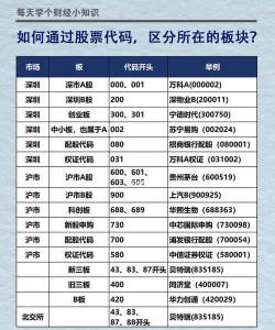 股票的种类有哪些