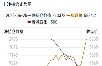多空持仓的内容主要包括