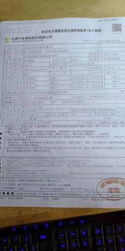 什么是附属保单