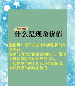 定值保单的内涵