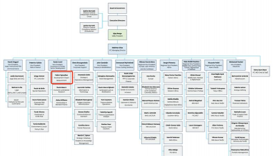 国际银团组织的优点