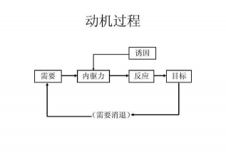 储蓄动机的驱力和诱因