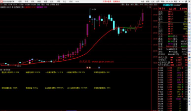 股票获利率公式