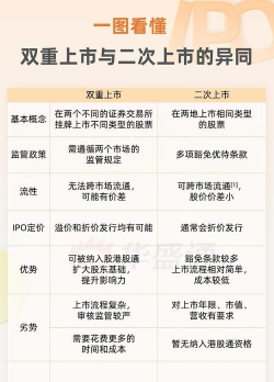 双重主要上市是什么