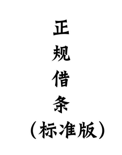 什么是借入储备