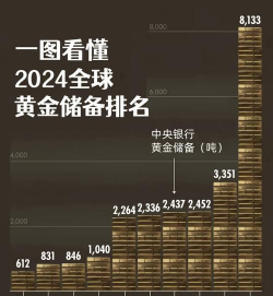 什么是最适度国际储备量