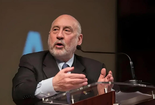 斯蒂格利茨怪圈的主要表现